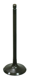 Intake Valve