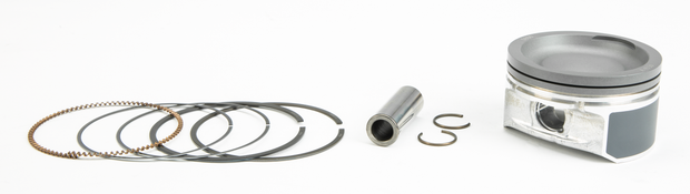 Piston Kit Nikasil Cyl Pol 79.95/Std 10.0:1