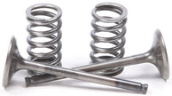 Exhaust Valve Conversion Set Ti Steel Gas/Yam