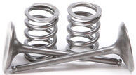 Intake Valve Conversion Set Ti Steel Suz