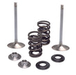 Intake Valve/Spring Kit .450