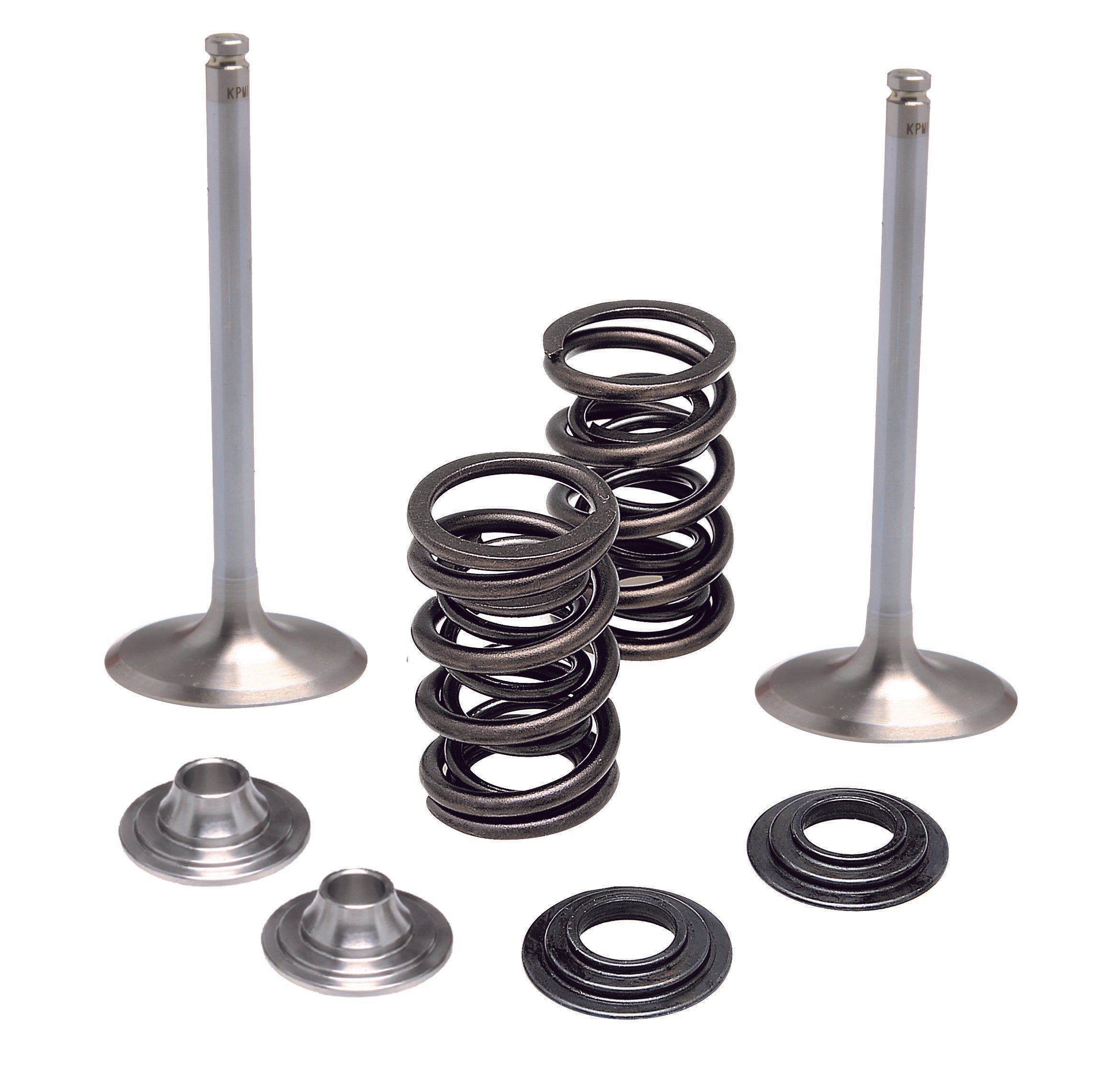 Intake Valve/Spring Kit .450