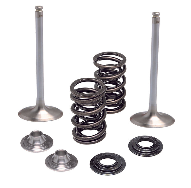 Intake Valve/Spring Kit .450" Lift