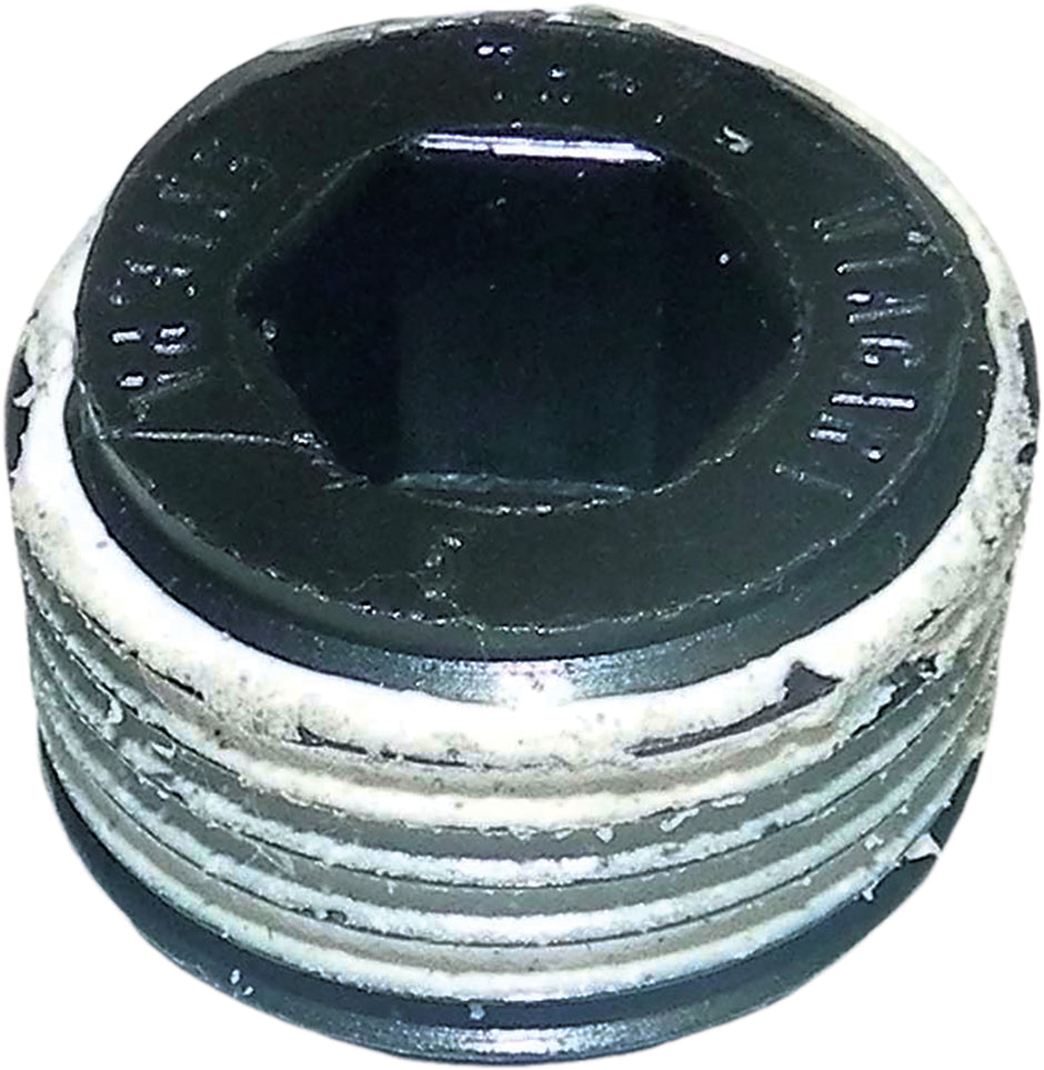 Wsm Pump Plug S/D