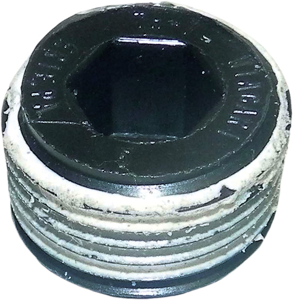 Wsm Pump Plug S/D