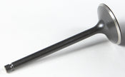 Black Diamond Intake Valve