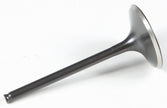 Black Diamond Intake Valve