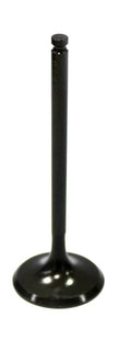 Intake Valve