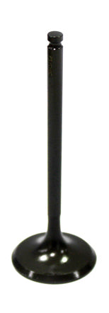 Intake Valve