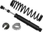 Gas Shock Rear