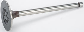 Intake Valve