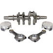 Complete Engine Rebuild Kit Pol