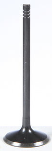 Black Diamond Intake Valve