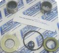 Pump Repair Kit Sea Doo