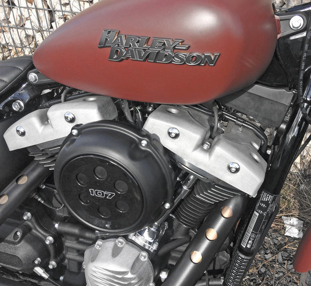 Shovel Rocker Cover M8 Raw