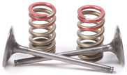Intake Valve Conversion Set Ti Steel Kaw/Suz
