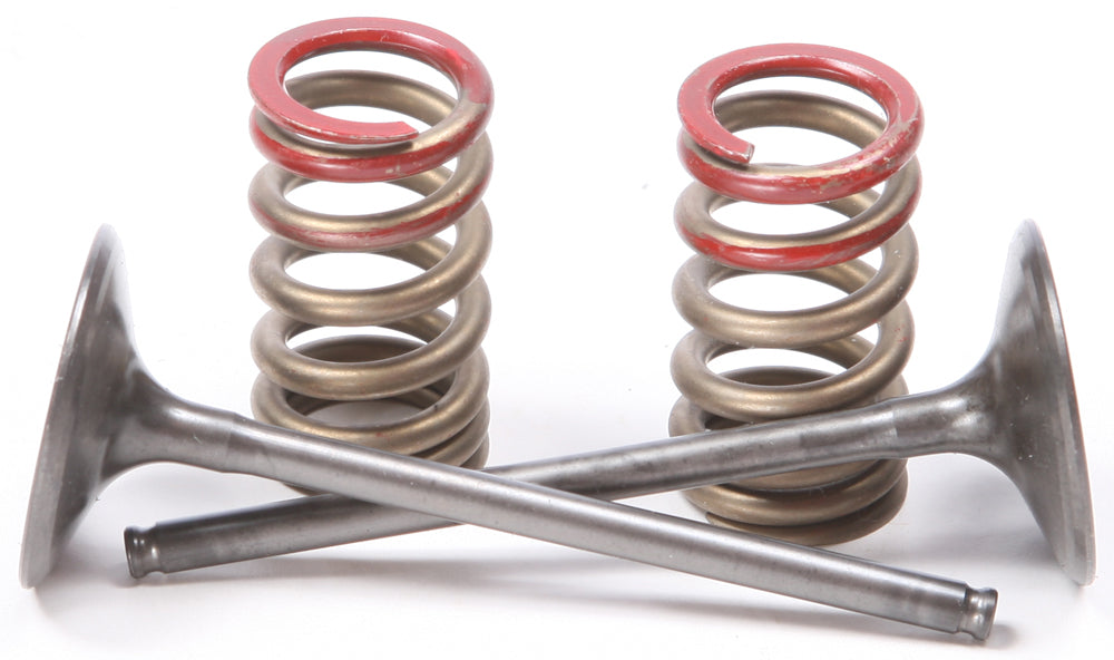 Intake Valve Conversion Set Ti Steel Kaw/Suz
