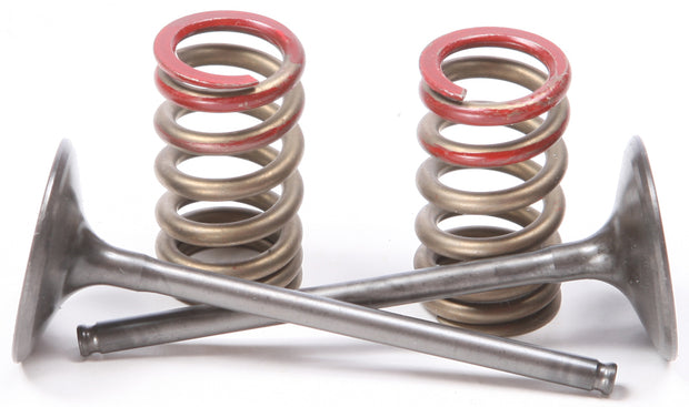 Intake Valve Conversion Set Ti Steel Kaw/Suz