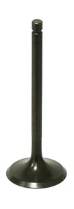 Intake Valve