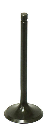 Intake Valve
