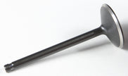 Black Diamond Intake Valve Hd Evolution 87 99