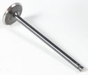 Black Diamond Exhaust Valve