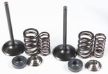 Intake Valve/Spring Kit Stainless Steel