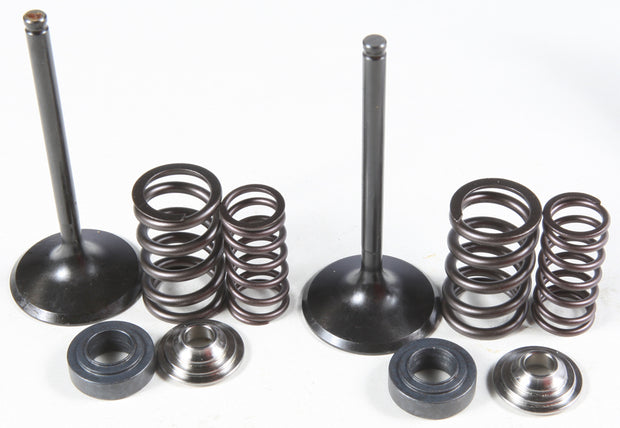 Intake Valve/Spring Kit Stainless Steel