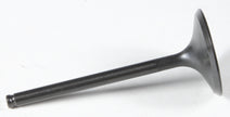 Black Diamond Intake Valve