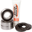 Rear Wheel Bearing Kit