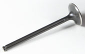 Black Diamond Exhaust Valve