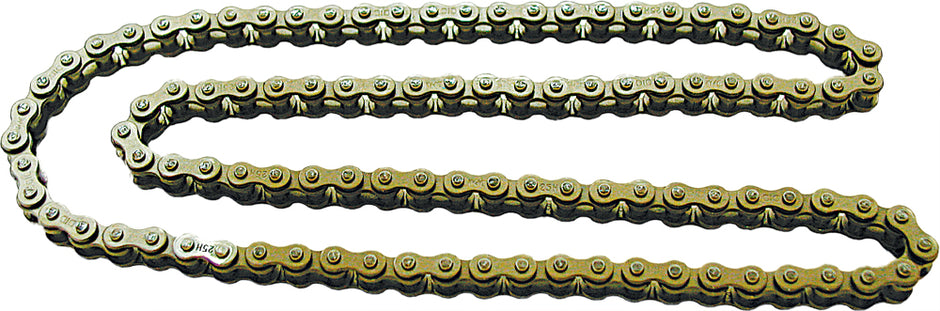 Cam Chain Bs25h 100
