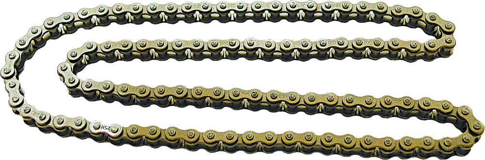 Cam Chain Bs25h 100