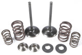 Intake Valve/Spring Kit Stainless Steel