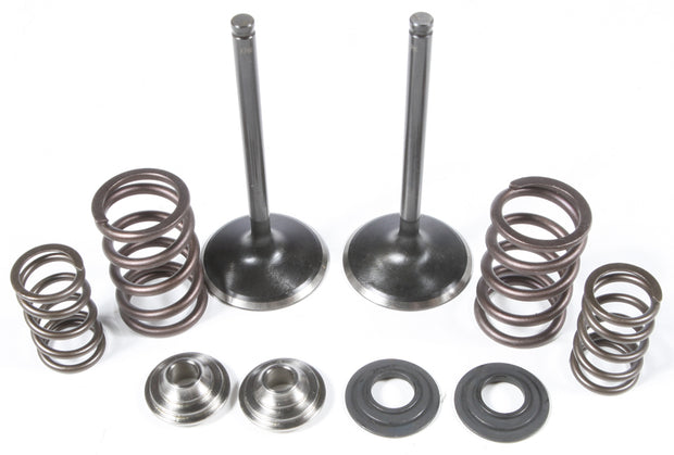 Intake Valve/Spring Kit Stainless Steel