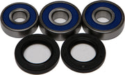 Wheel Bearing & Seal Kit