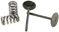 Intake Valve Conversion Set Ti Steel Yam