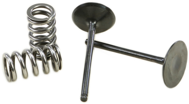 Intake Valve Conversion Set Ti Steel Yam