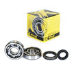 Crankshaft Bearing & Seal Kit Suz