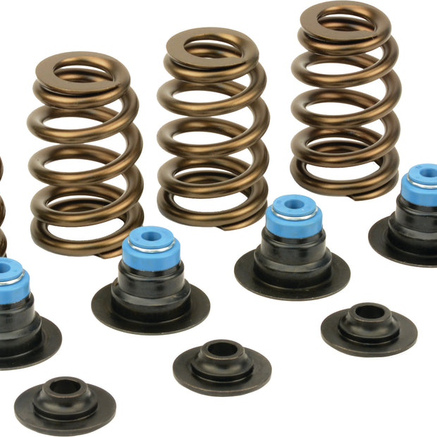 Lunati Beehive Spring Kit Twin Cam