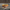 RAVEK Apex Lights* - Running - Amber - Teryx 67-301A