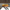 RAVEK Apex Lights* - Running - Amber - Teryx 67-301A