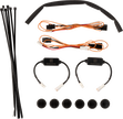 RAVEK Wire Harness - Turn Signal - Front 59-244