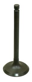 Intake Valve