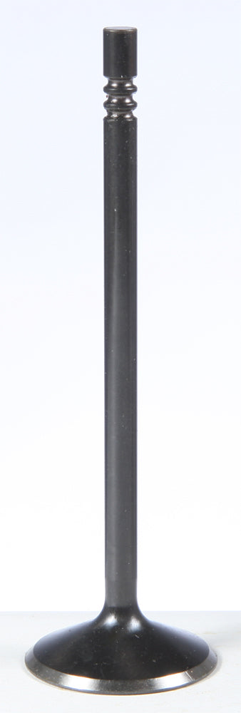 Black Diamond Intake Valve