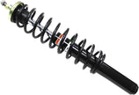 Gas Shock Front