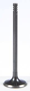 Black Diamond Exhaust Valve