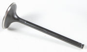 Black Diamond Intake Valve