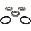 Rear Wheel Bearing Kit