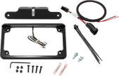 License Plate W/ Led
